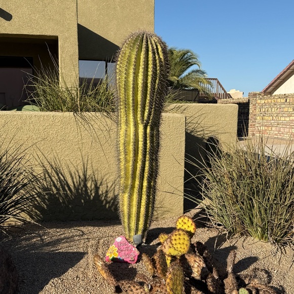 Meet your Posher, April - Picture 6 of 7